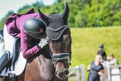 hest / Norges Rytterforbund / FERD Comeback Cup