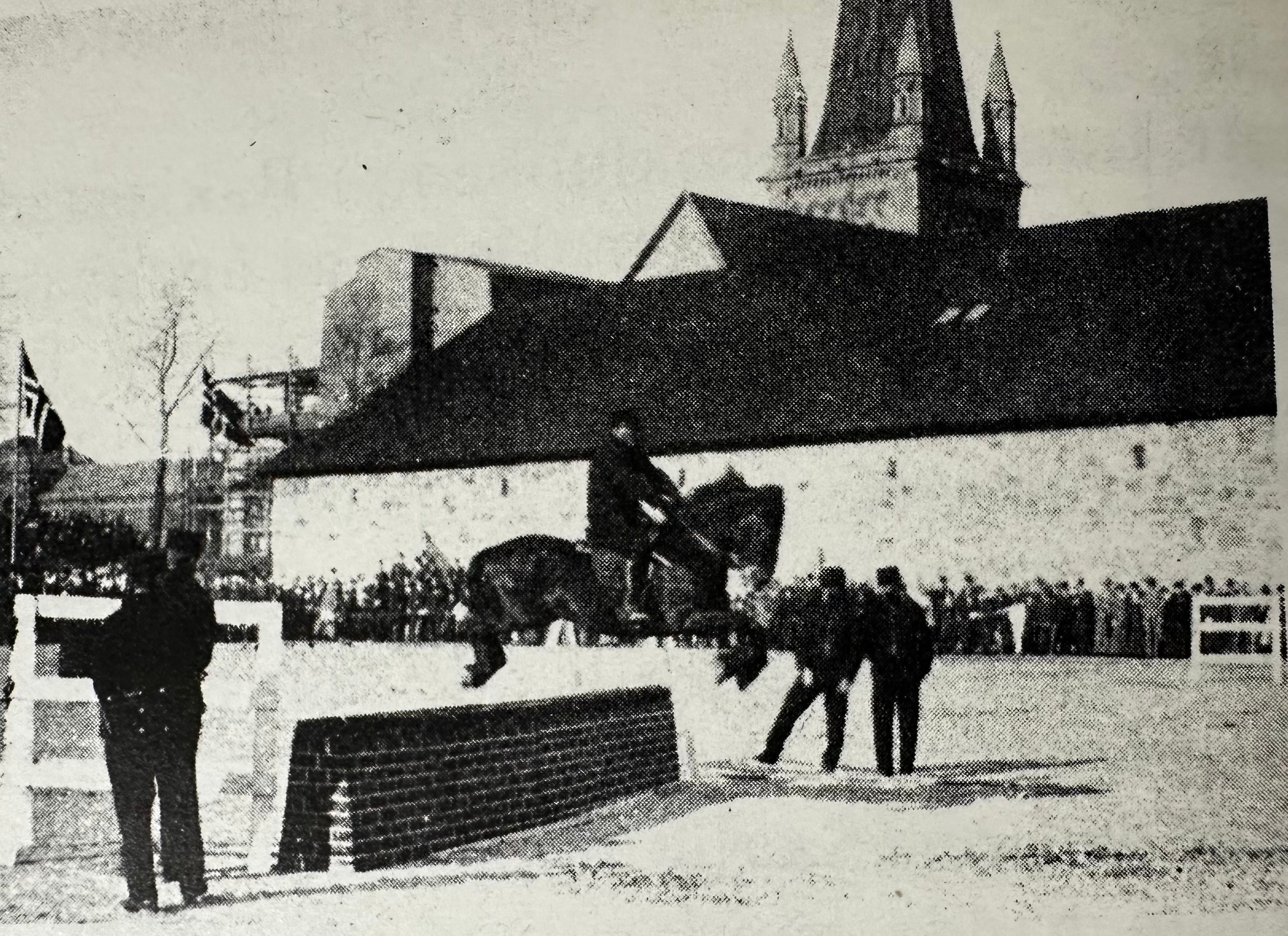 hest / Norges Rytterforbund