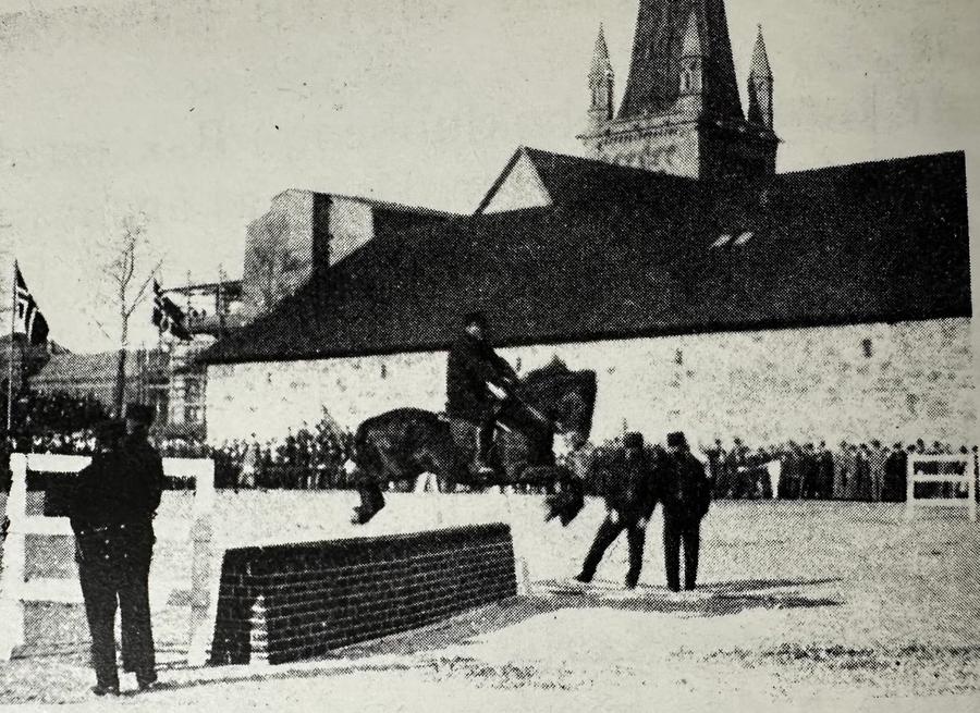 hest / Norges Rytterforbund