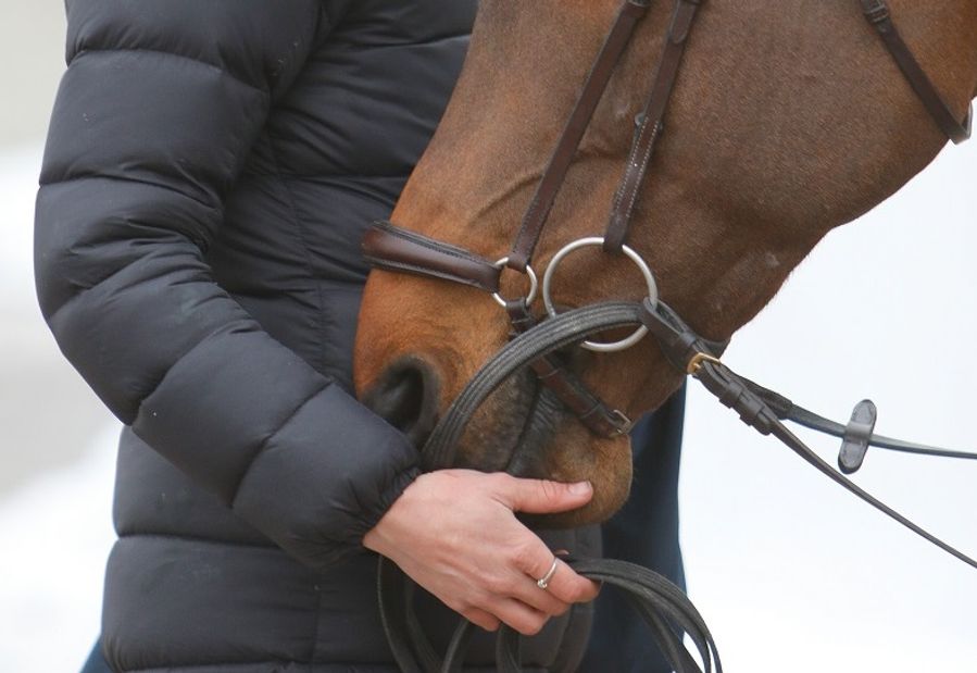 hest / norges rytterofrbund