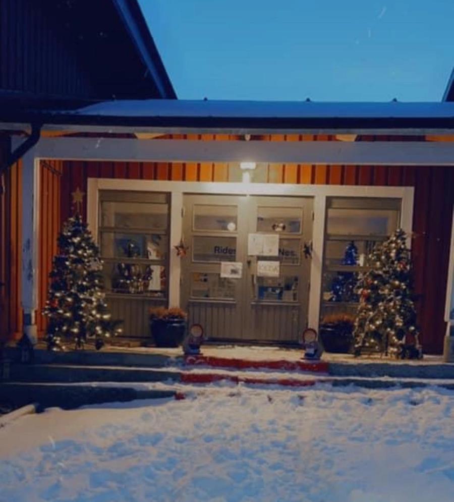 hest / Norges Rytterforbund / Nes rideklubb