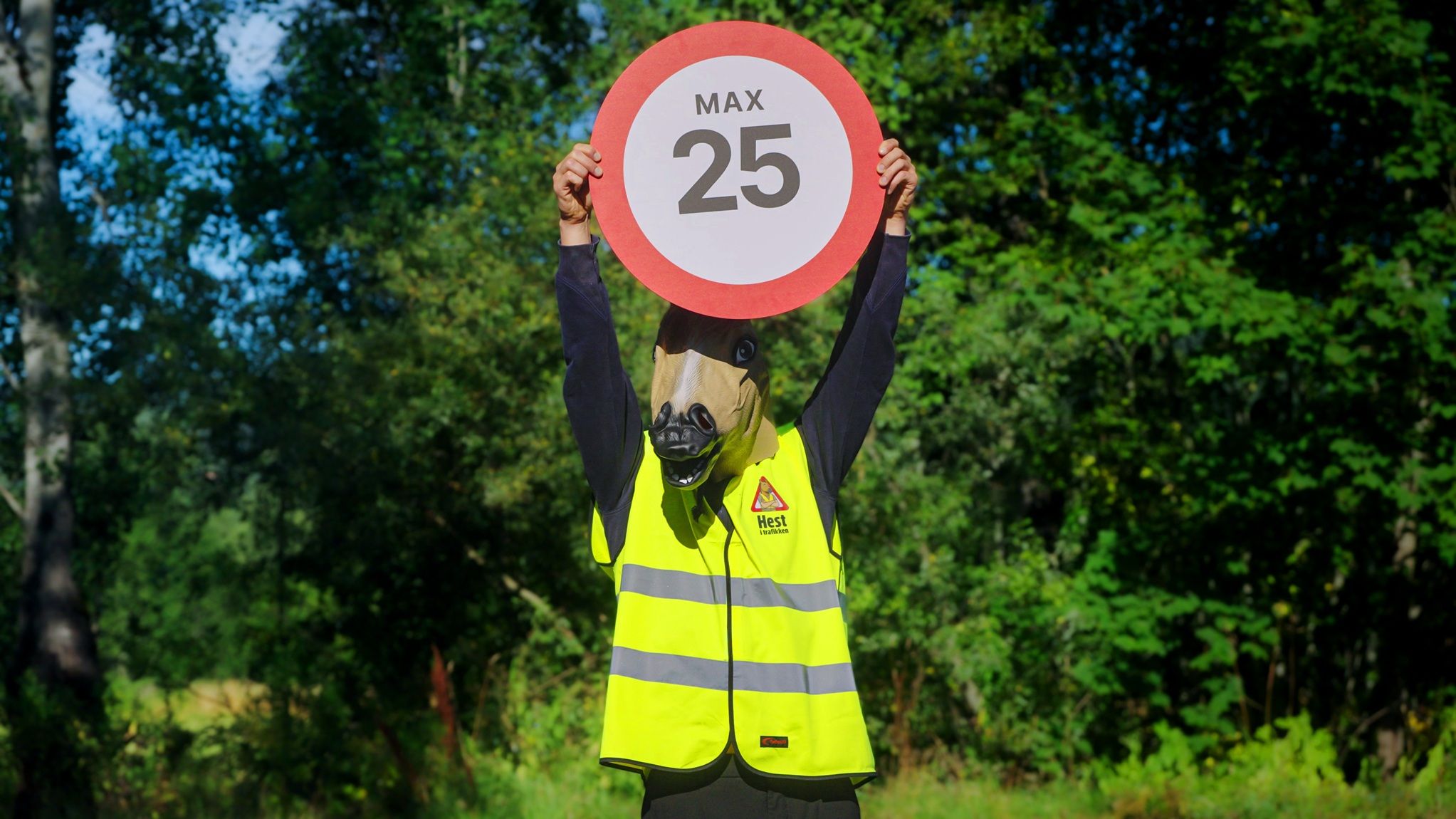 hest / Norges Rytterforbund / hest i trafikken / trafikk