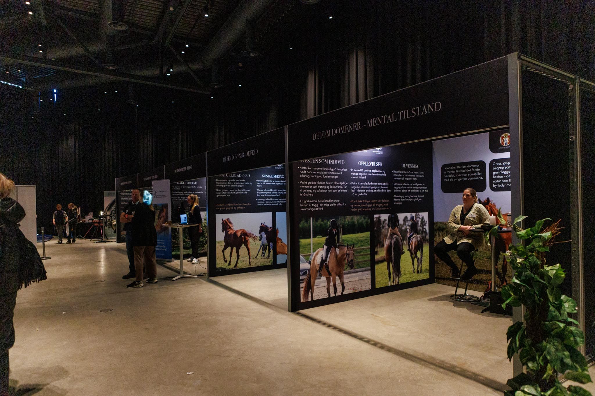 hest / Norges Rytterforbund / Hestevelferd for alle