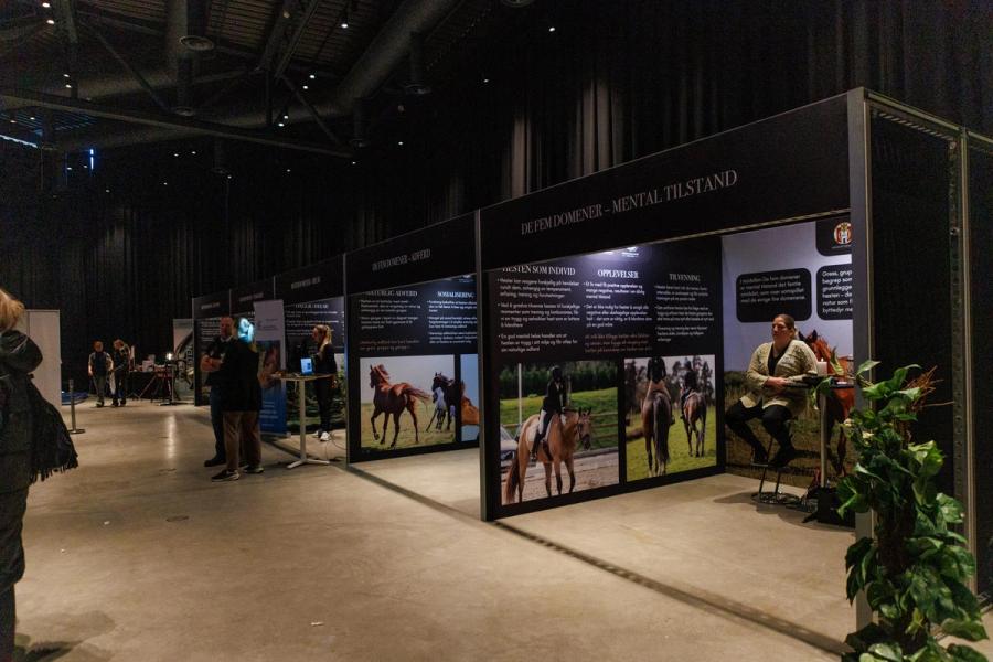 hest / Norges Rytterforbund / Hestevelferd for alle