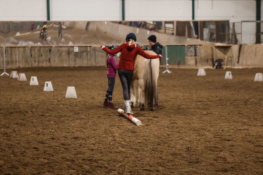 hest ridning rideskole