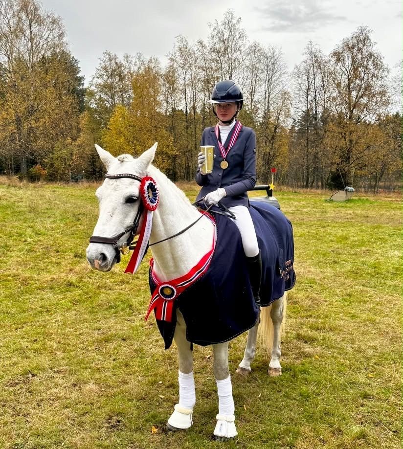 hest / Norges Rytterforbund 