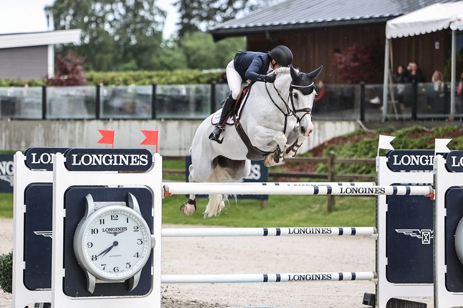 hest / Norges Rytterforbund