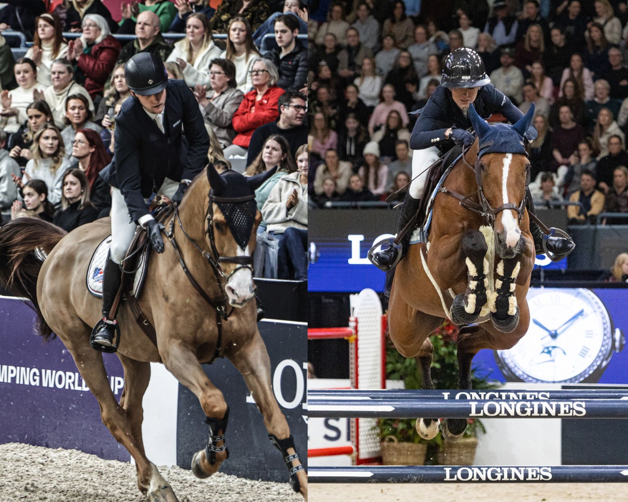 hest / Norges Rytterforbund 