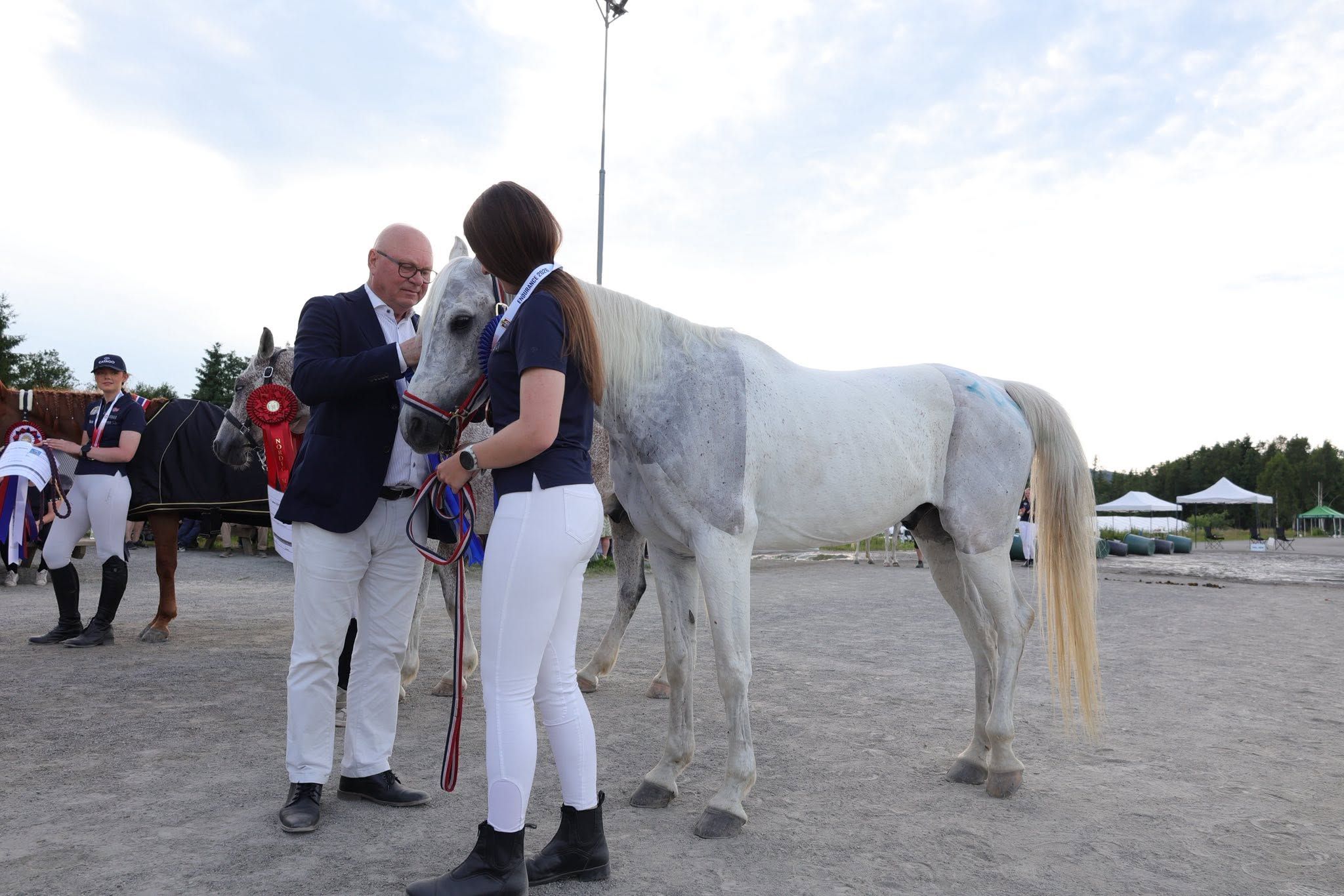 hest / Norges Rytterforbund / 