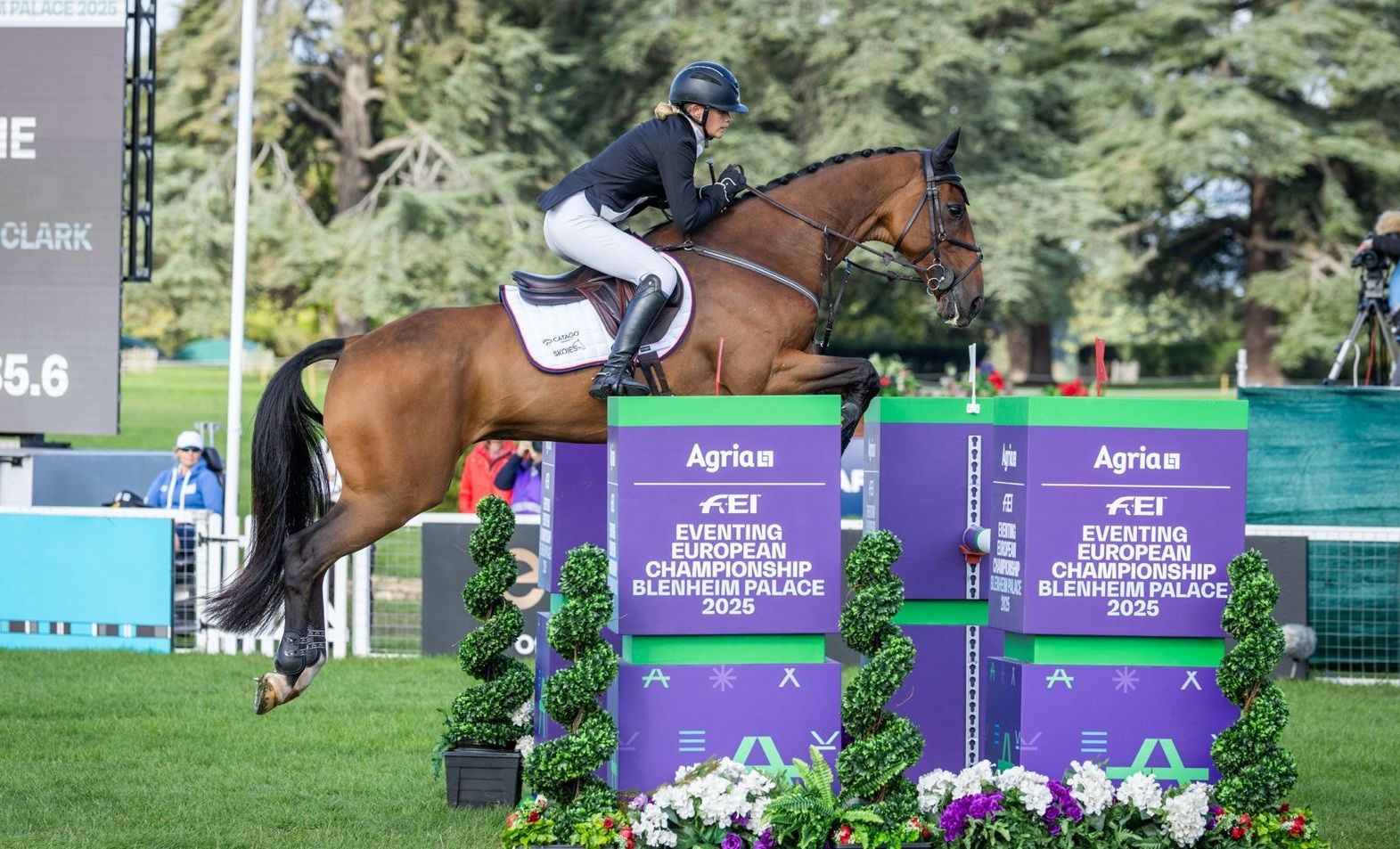 hest / Norges Rytterforbund
