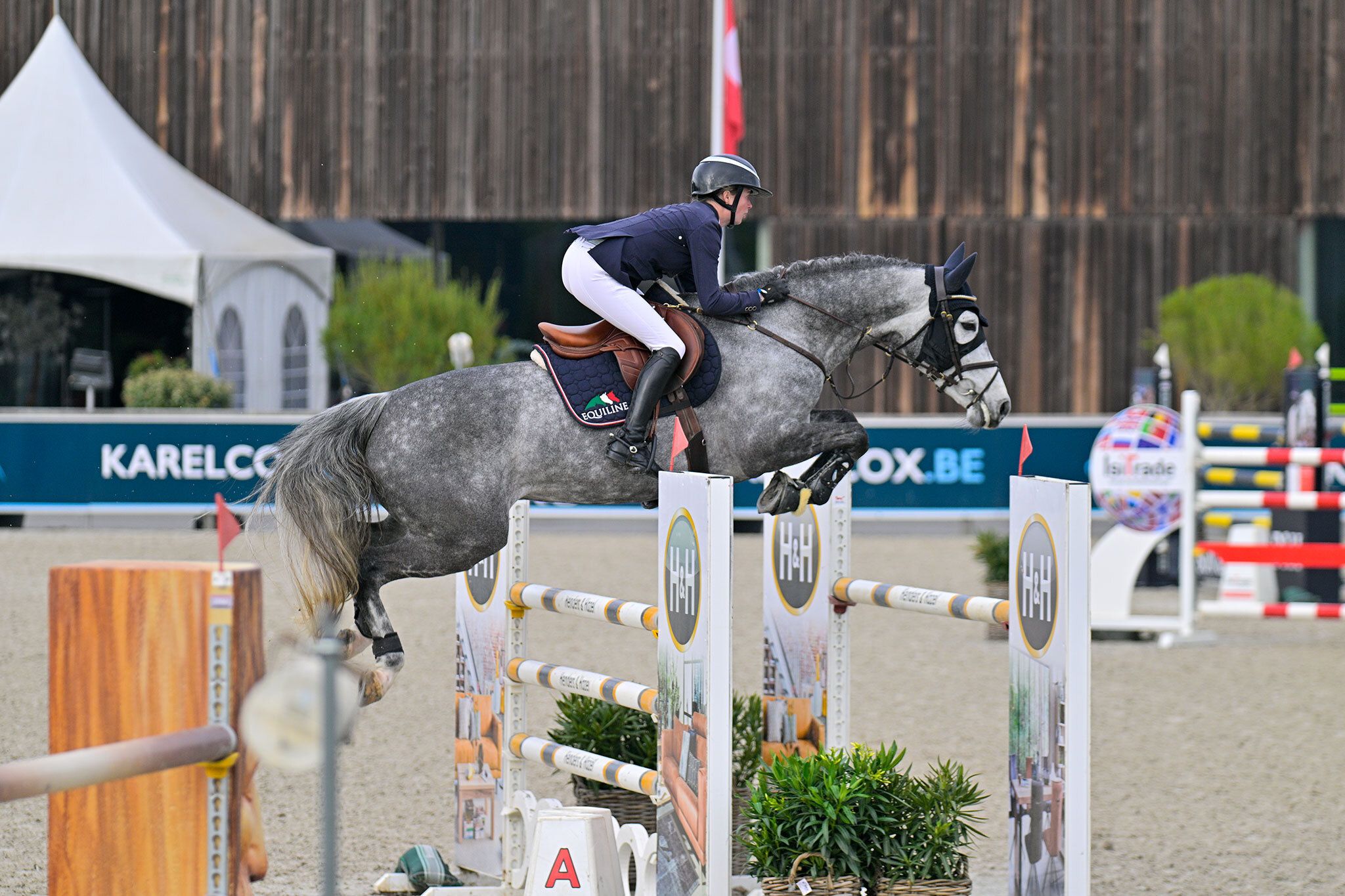 hest / Norges Rytterforbund