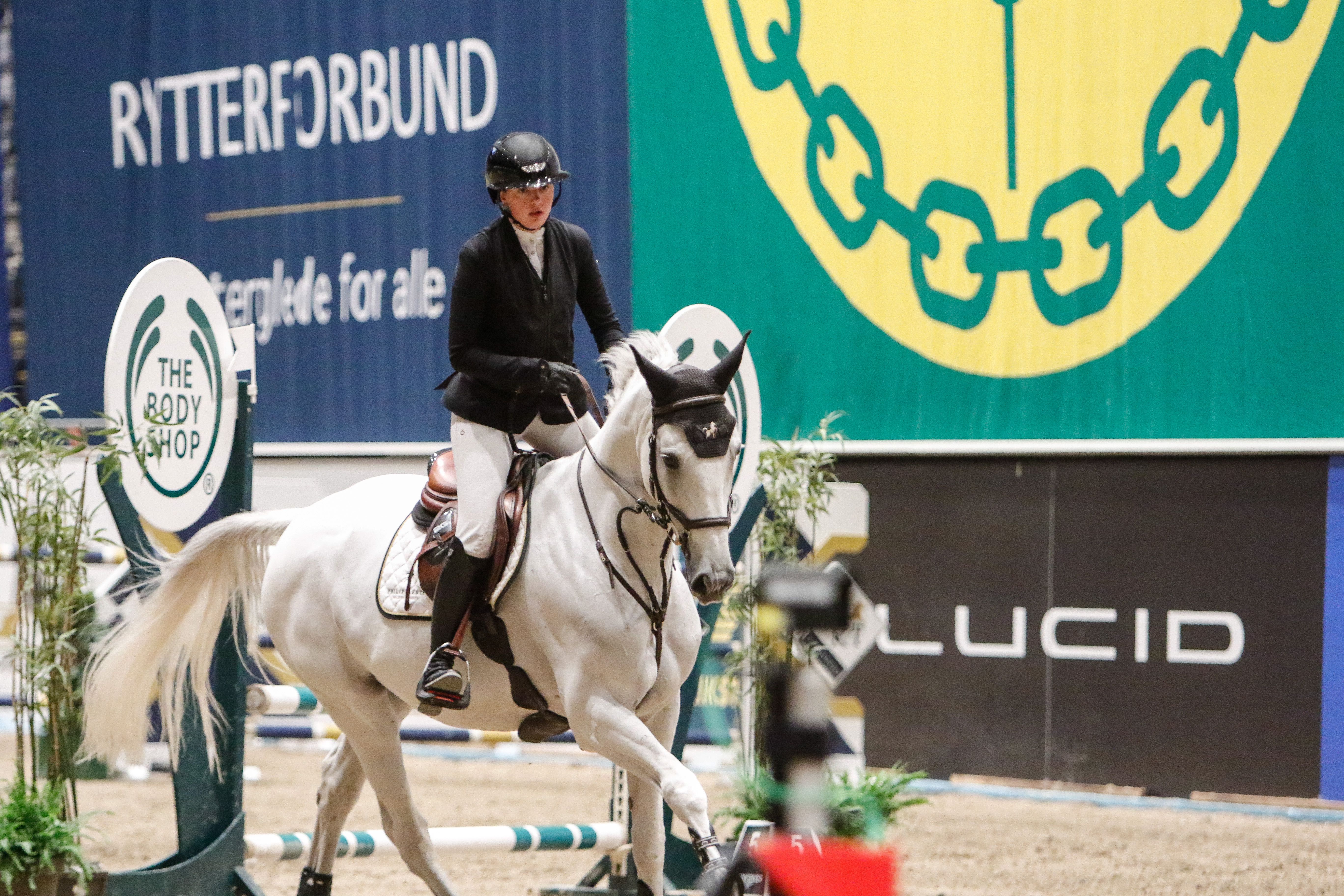 hest / Norges Rytterforbund / Jenny Krogsæter
