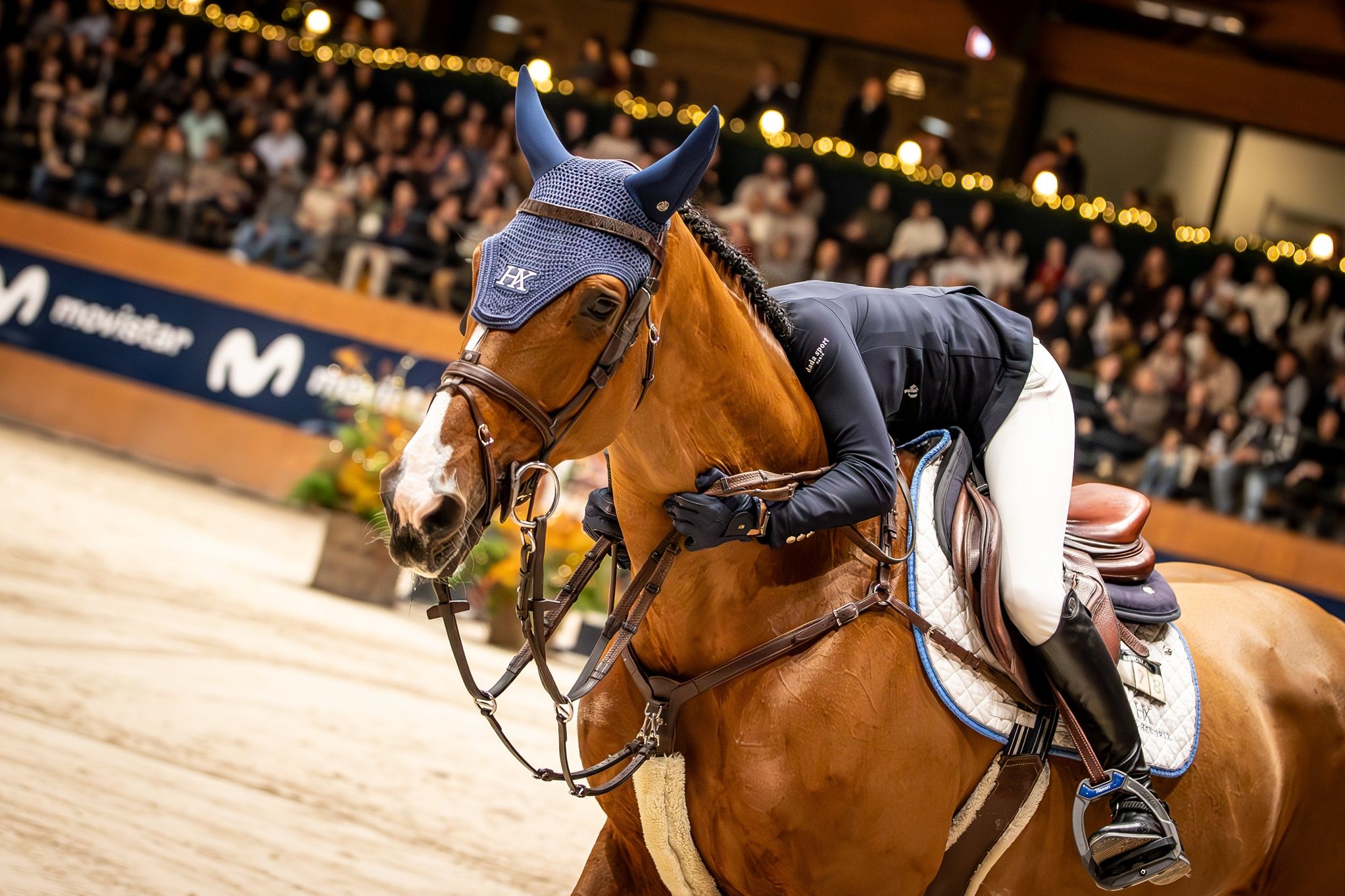 hest / Norges Rytterforbund / Oda Charlotte Lyngvær