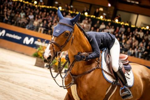 hest / Norges Rytterforbund / Oda Charlotte Lyngvær