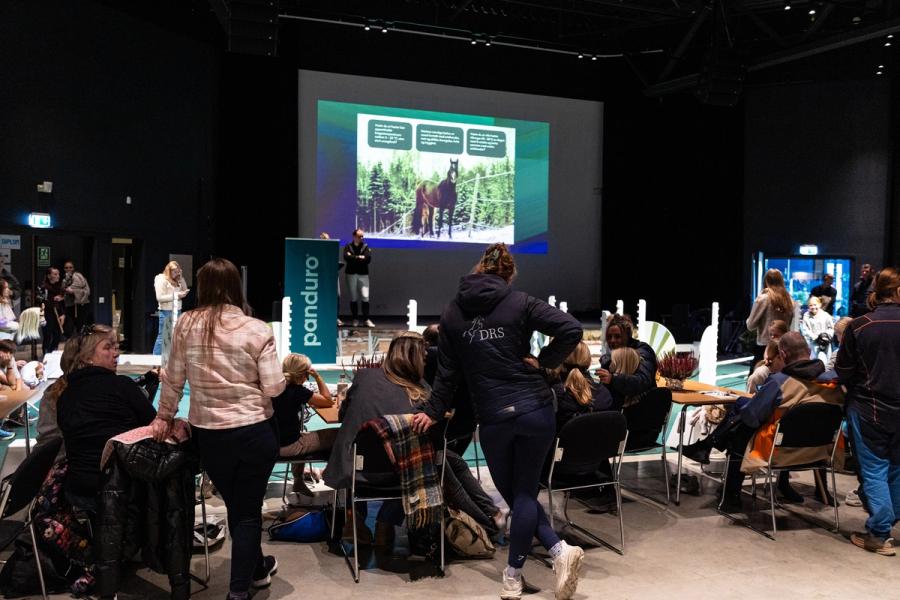 hest / hestevelferd for alle / Norges Rytterforbund / Agria Oslo Horse Show