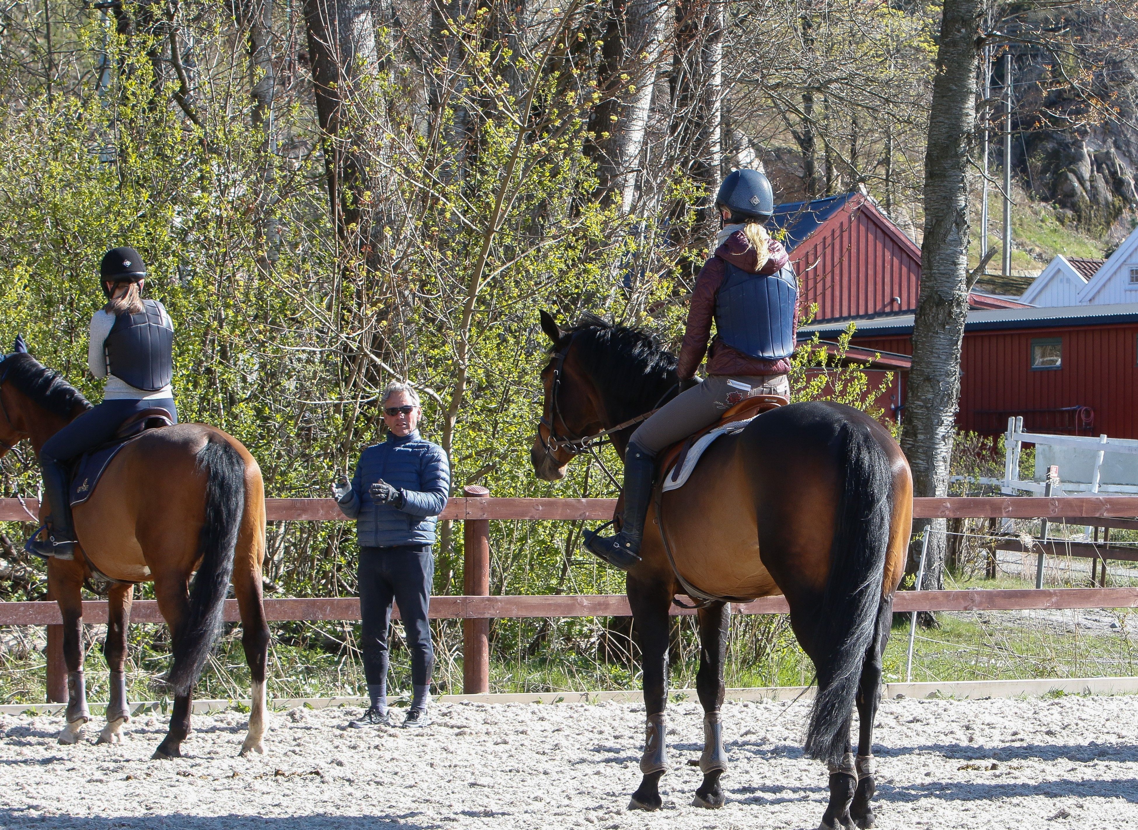 hest / Norges Rytterforbund / trener
