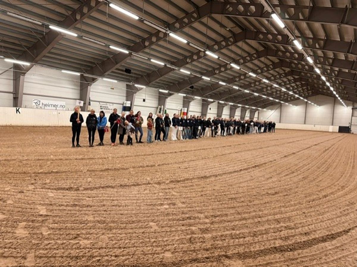 hest / Norges Rytterforbund