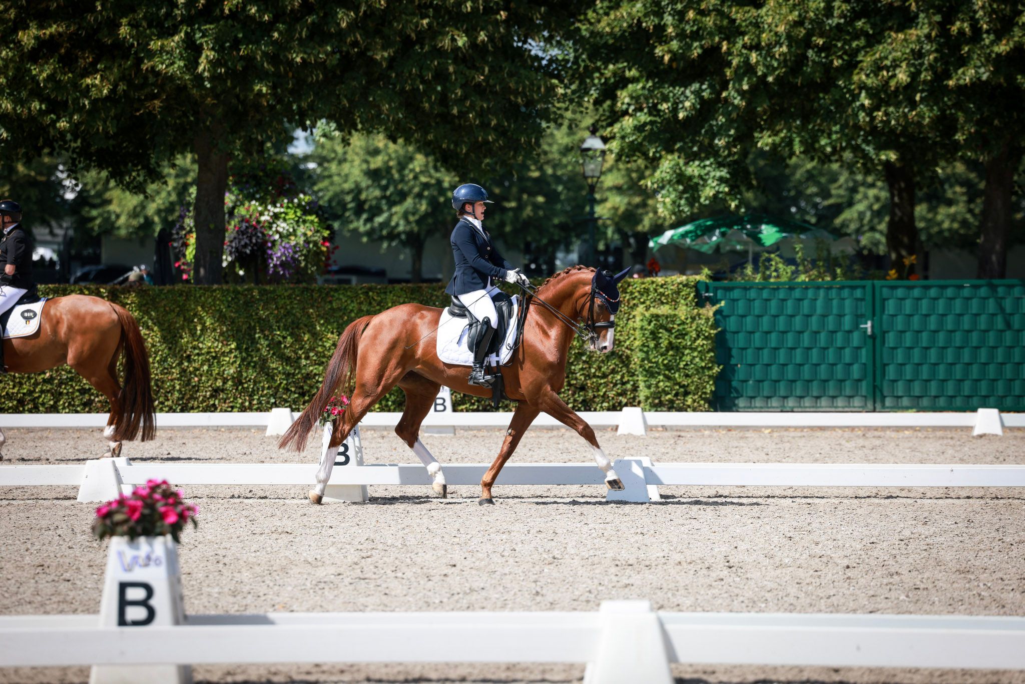 hest / Norges Rytterforbund / paradressur / Mira Antonsen Hjelle