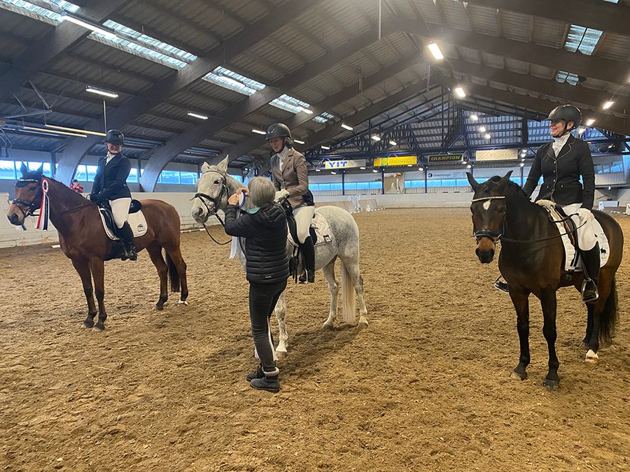 Comeback Cup / hest / Norges Rytterforbund