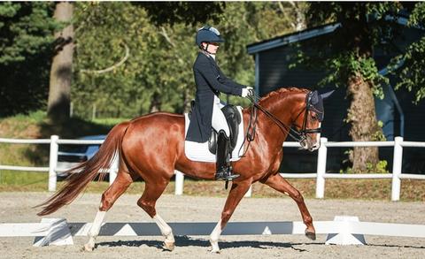 hest / Norges Rytterforbund / Mira Hjelle Antonsen / dressur