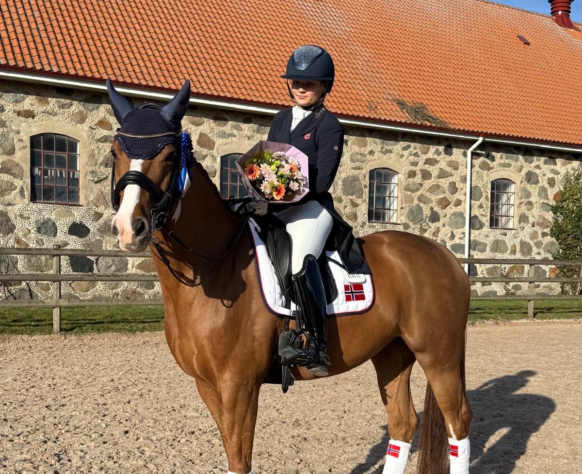 hest / Norges Rytterforbund / Mira Antonsen Hjelle