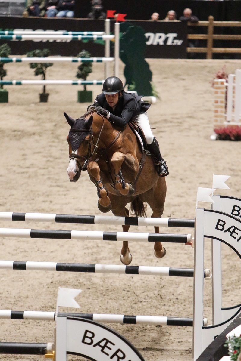 hest / Norges Rytterforbund