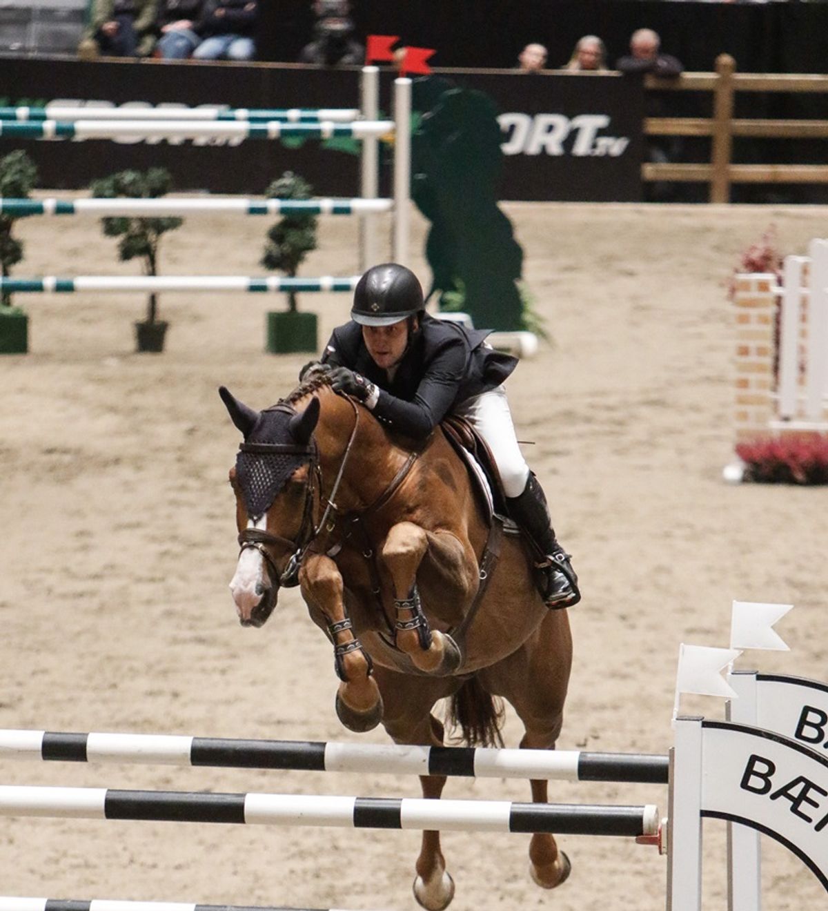 hest / Norges Rytterforbund