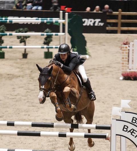 hest / Norges Rytterforbund