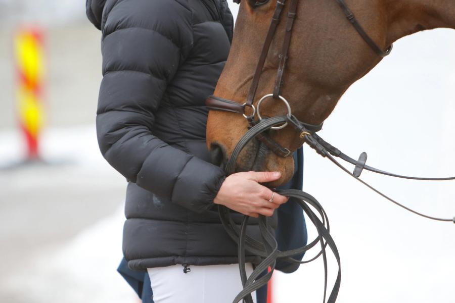 hest / Norges Rytterforbund