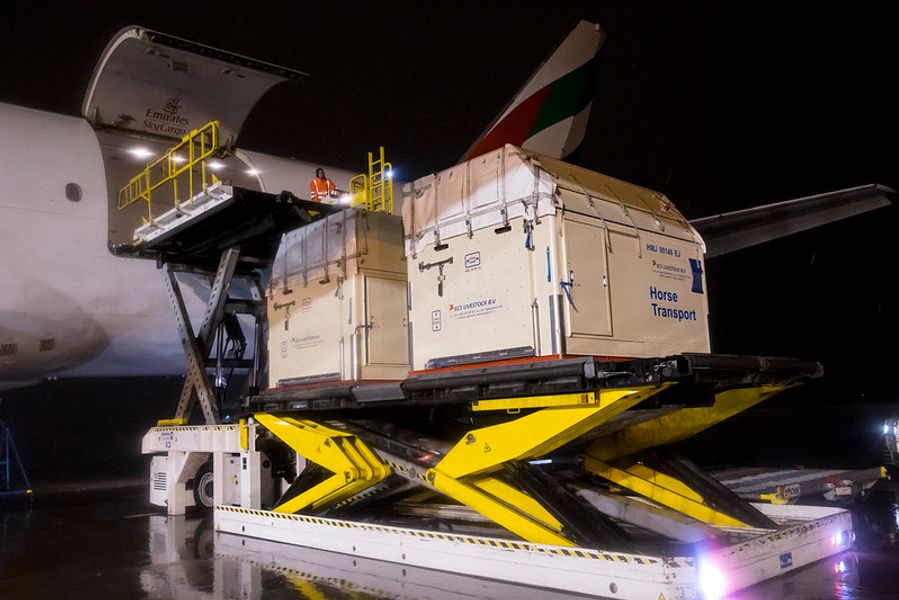 hest / fly / Norges Rytterforbund