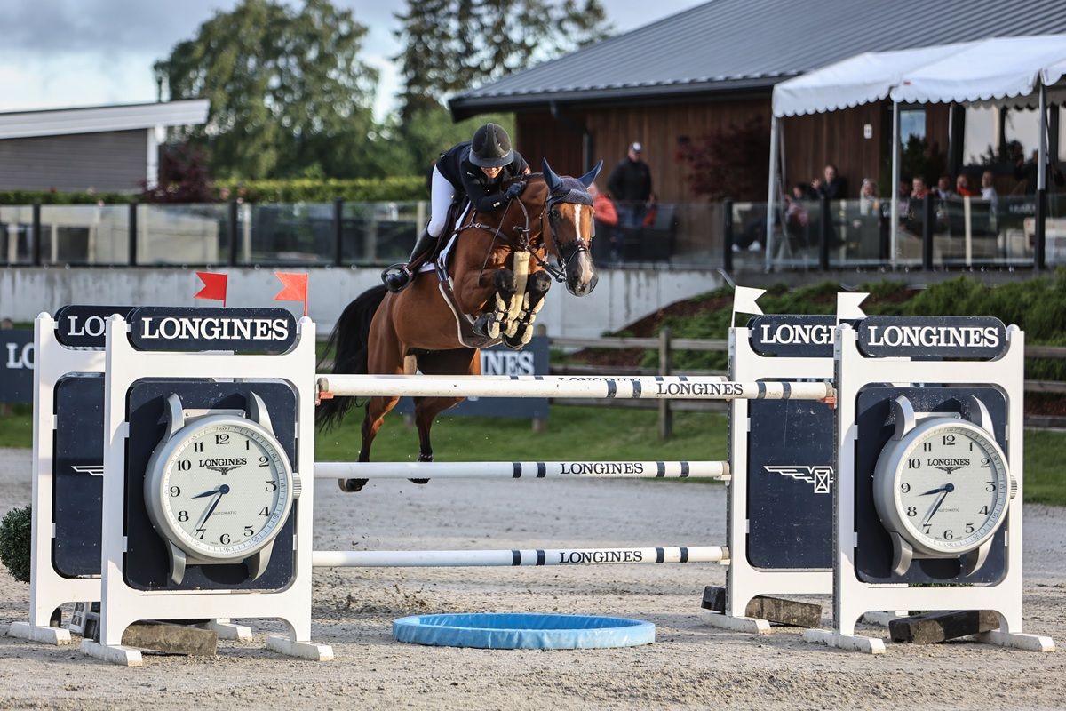 hest / Norges Rytterforbund