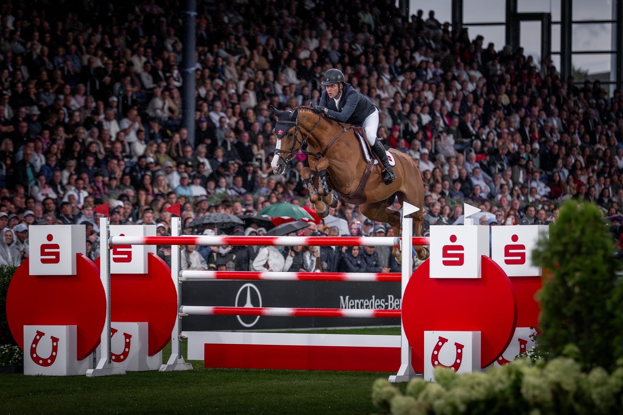 hest / Norges Rytterforbund / Johan-Sebastian Gulliksen