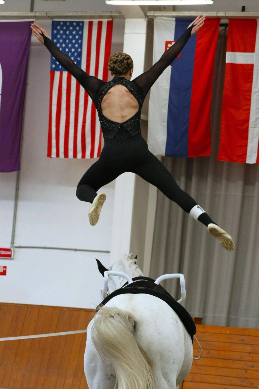 hest / Norges Rytterforbund