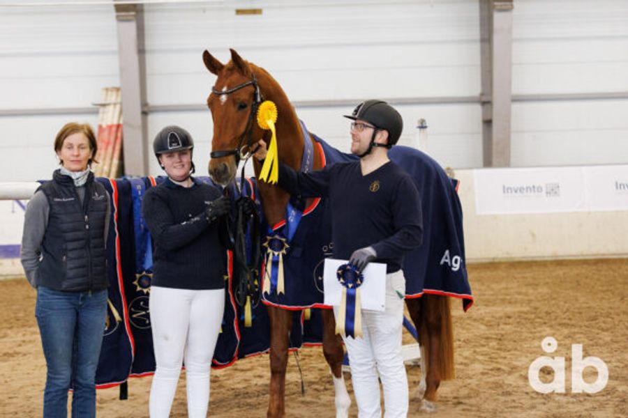 hest / Norges Rytterforbund