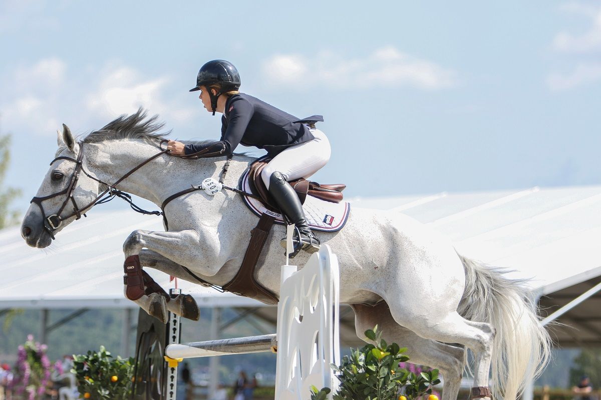 hest / Norges Rytterforbund