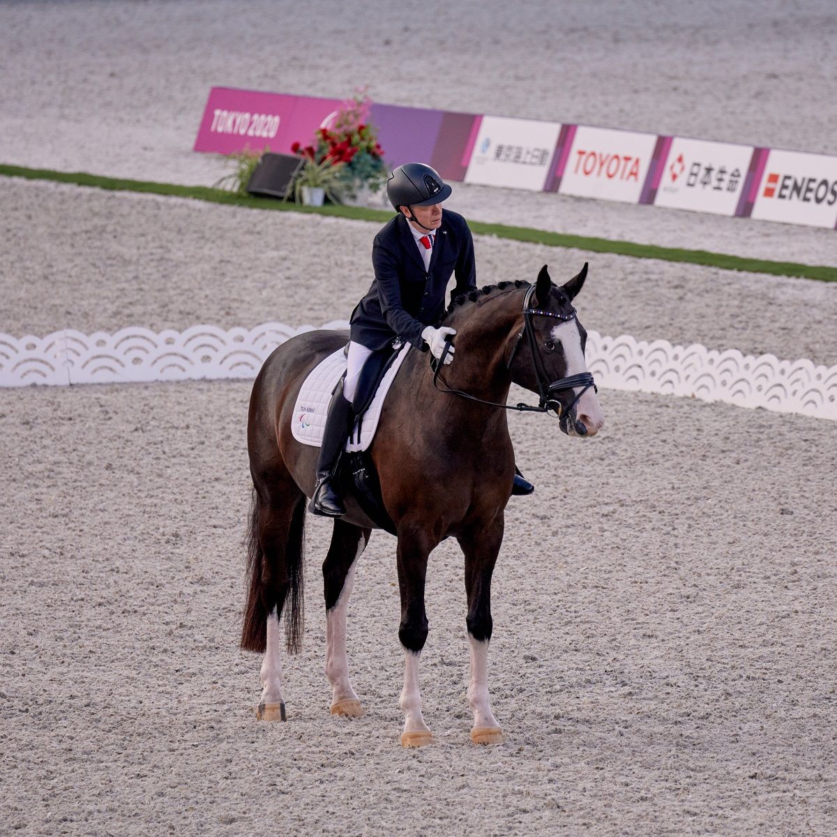Jens Lasse Dokkan / Aladdin / paradressur / hest / Norges Rytterforbund
