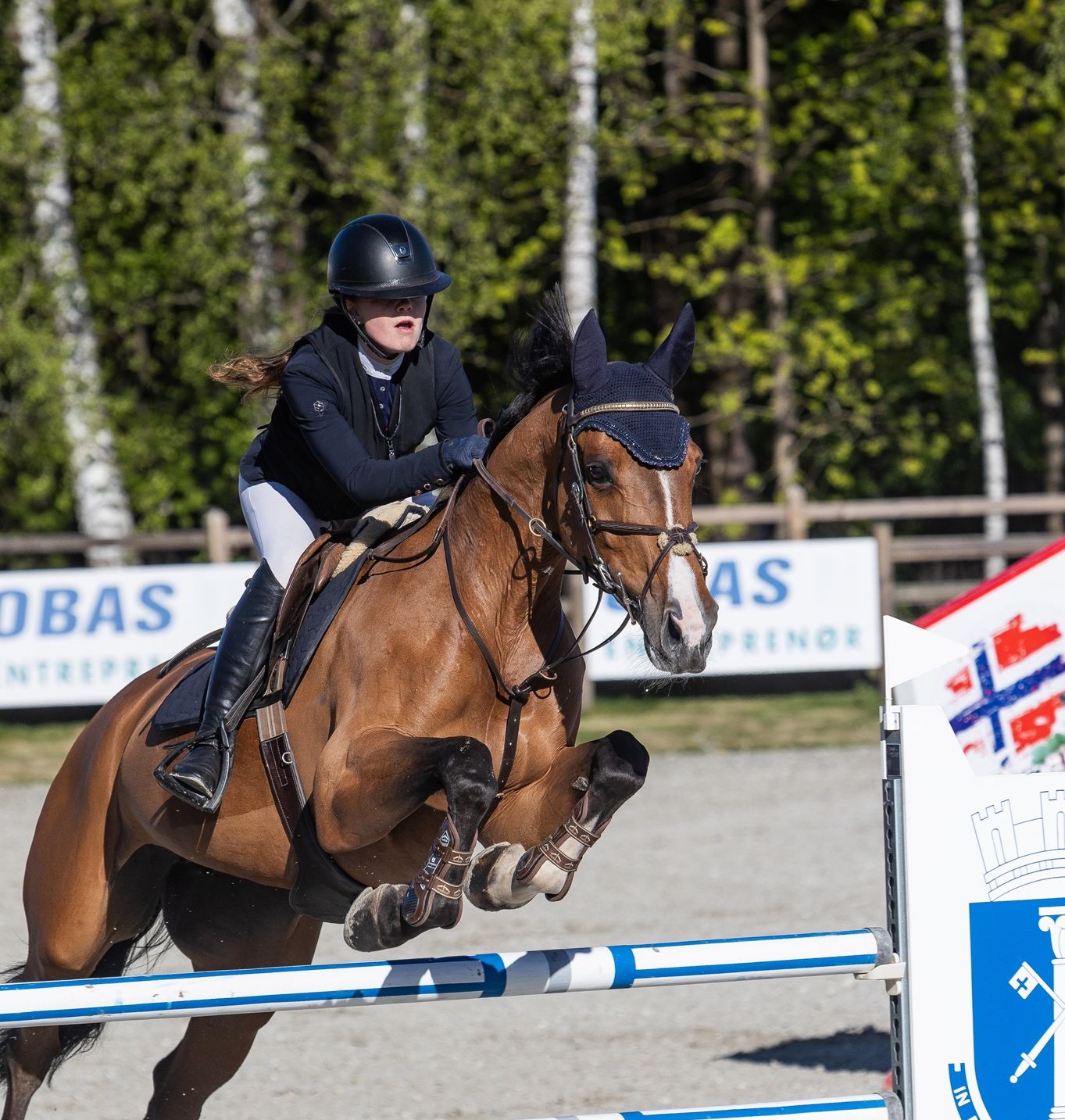 hest / Norges Rytterforbund / Marie Gulliksen