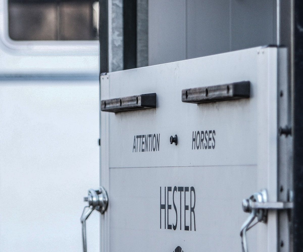 hest / Norges rytterforbund