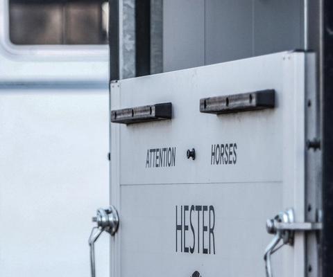 hest / Norges rytterforbund