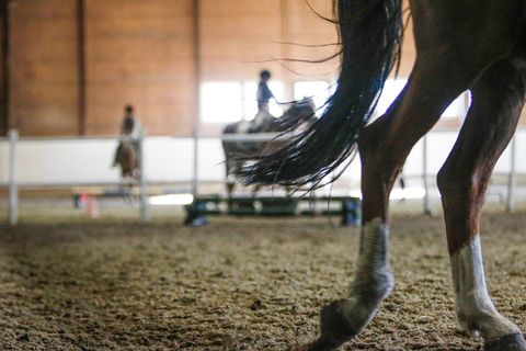 hest / Norges Rytterforbund / Coop-dugnaden