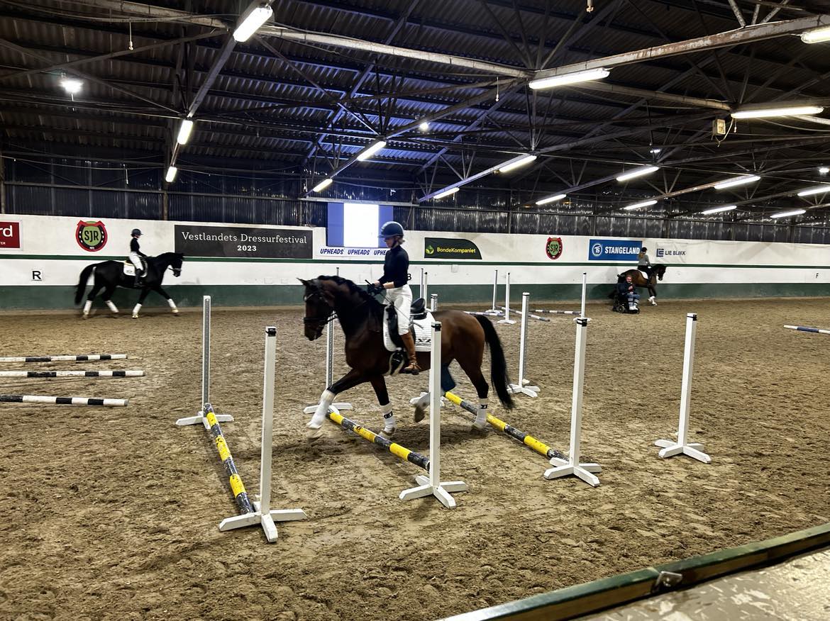 hest / dressur / bommer / bomarbeid / Norges Rytterforbund