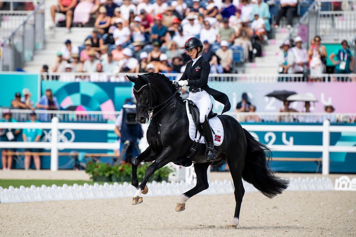 hest / Norges Rytterforbund