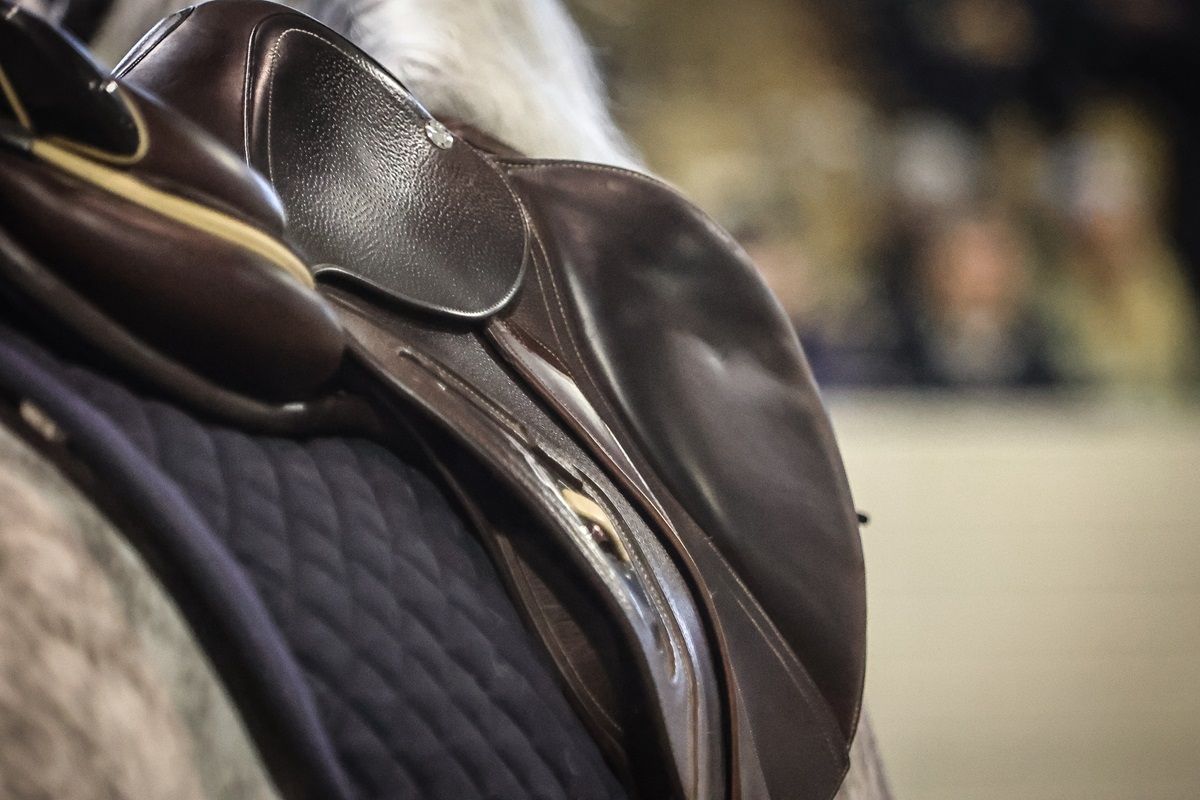 hest / Norges Rytterforbund