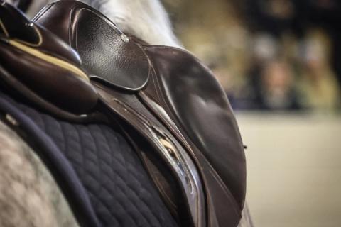 hest / Norges Rytterforbund