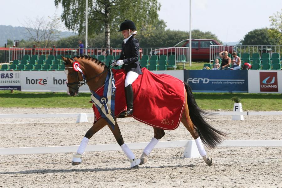 hest / Norges Rytterforbund