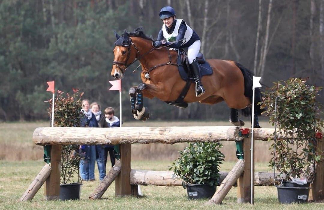 hest / Norges Rytterforbund