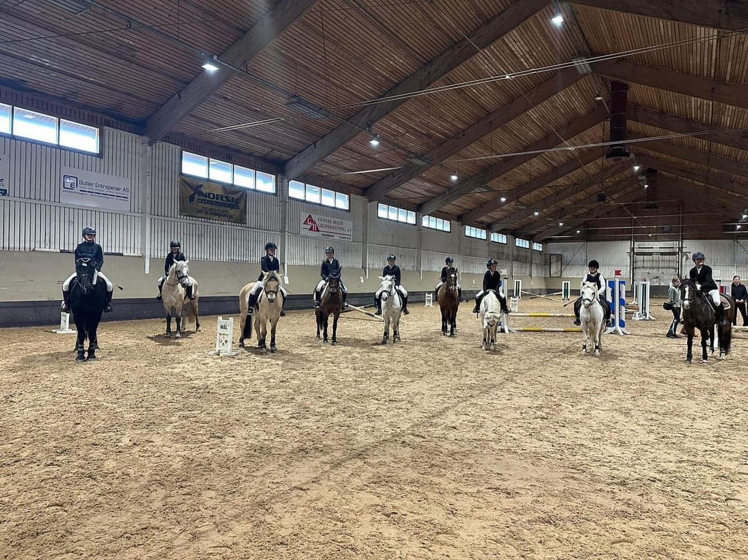 hest / Norges Rytterforbund