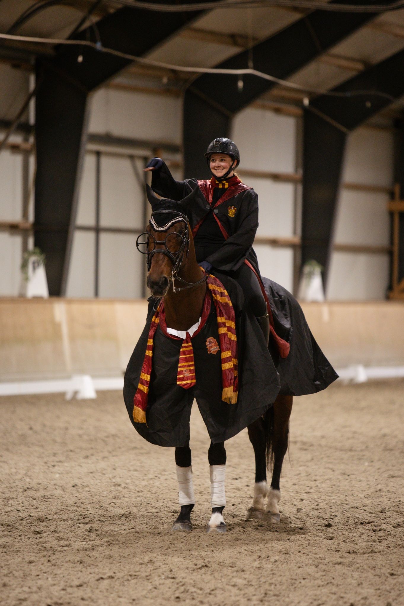 hest / Norges Rytterforbund / Vestlandets Dressurfestival