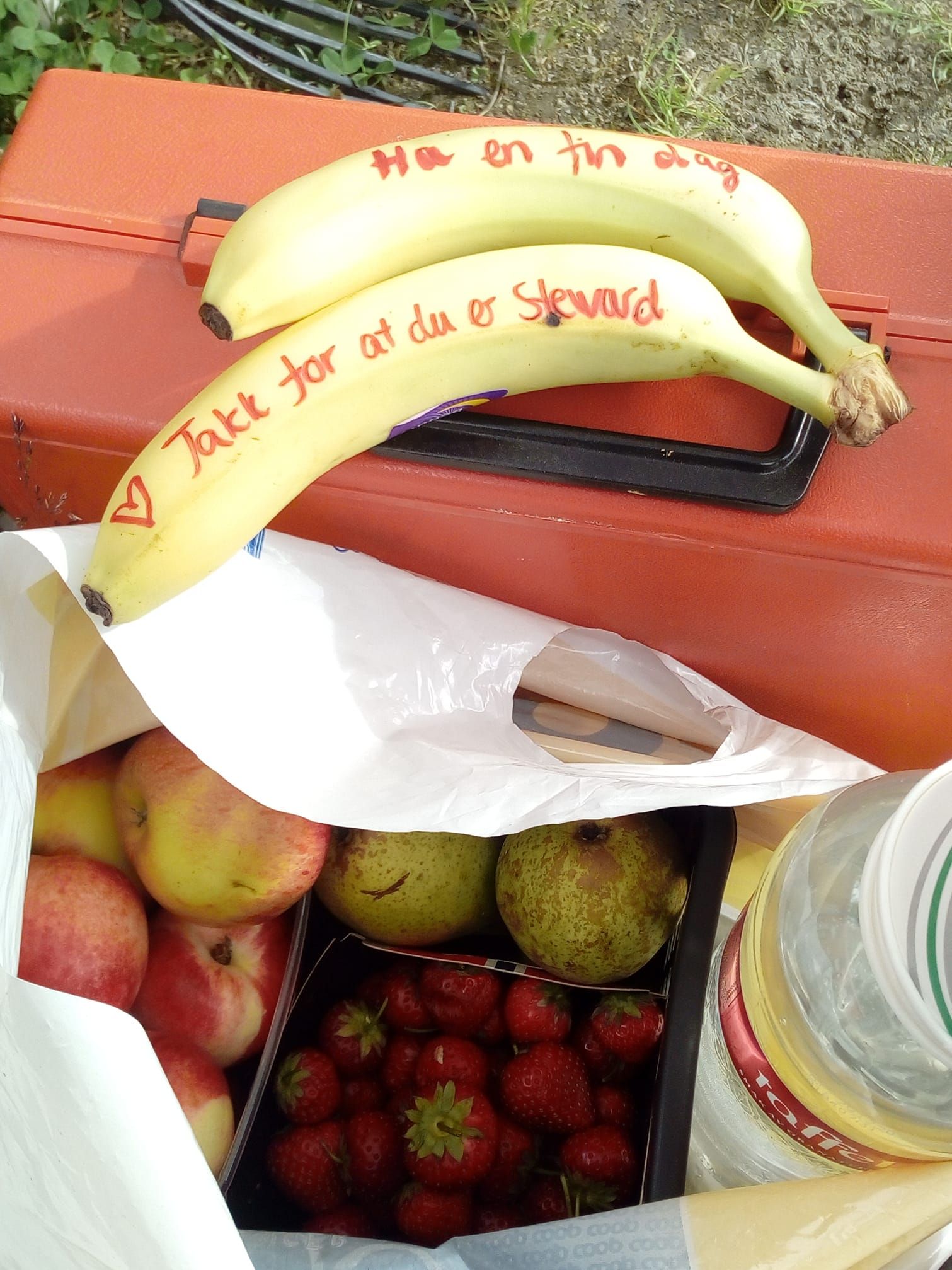 steward takk takknemlighet