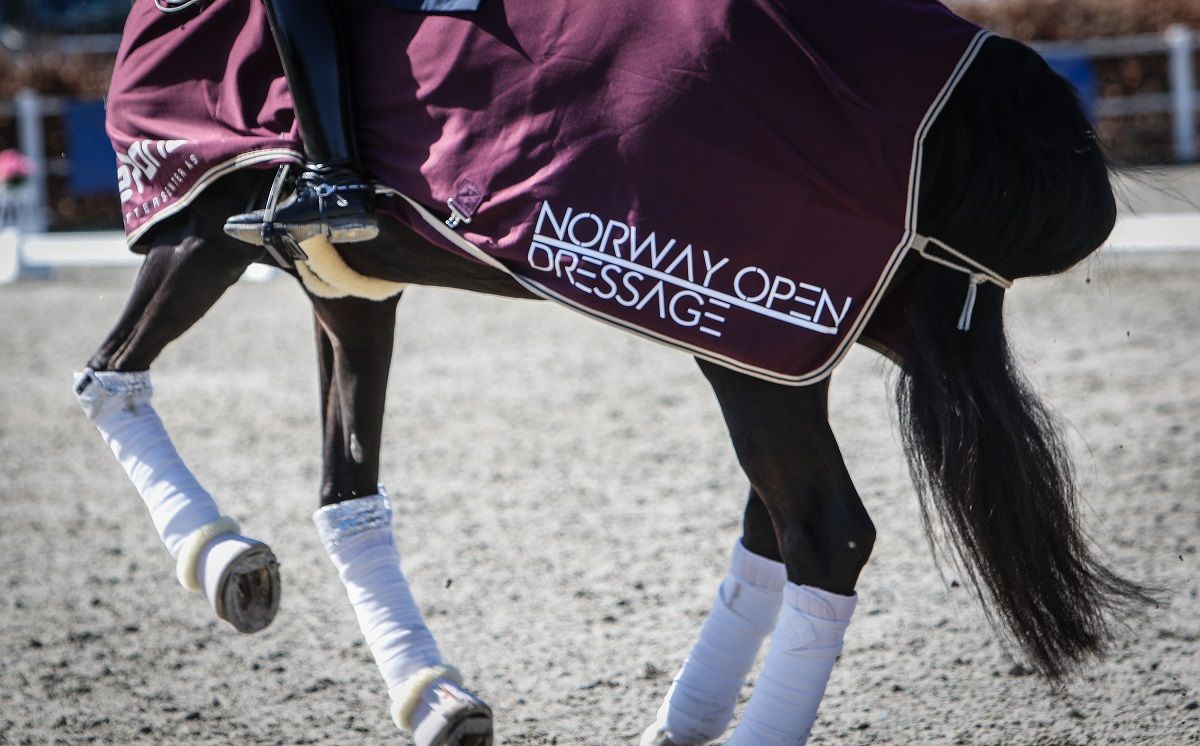 hest / Norges Rytterforbund